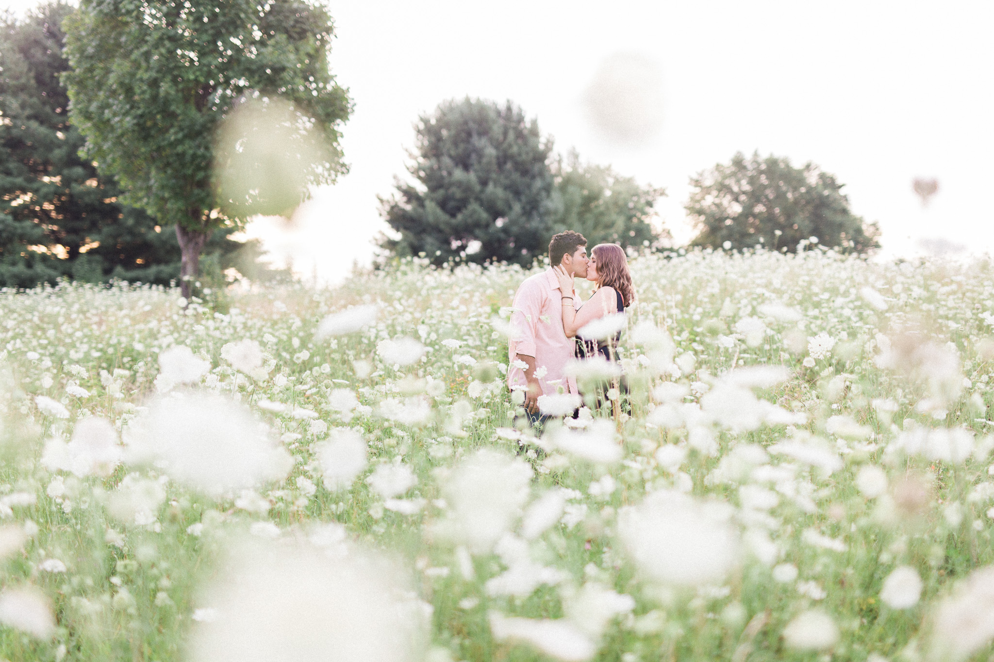 BEE MINE PHOTOGRAPHY // Canton, Ohio Photographer // sunset couples photos, anniversary photos, engagement pictures in field, flowering field pictures, sunset couples photography