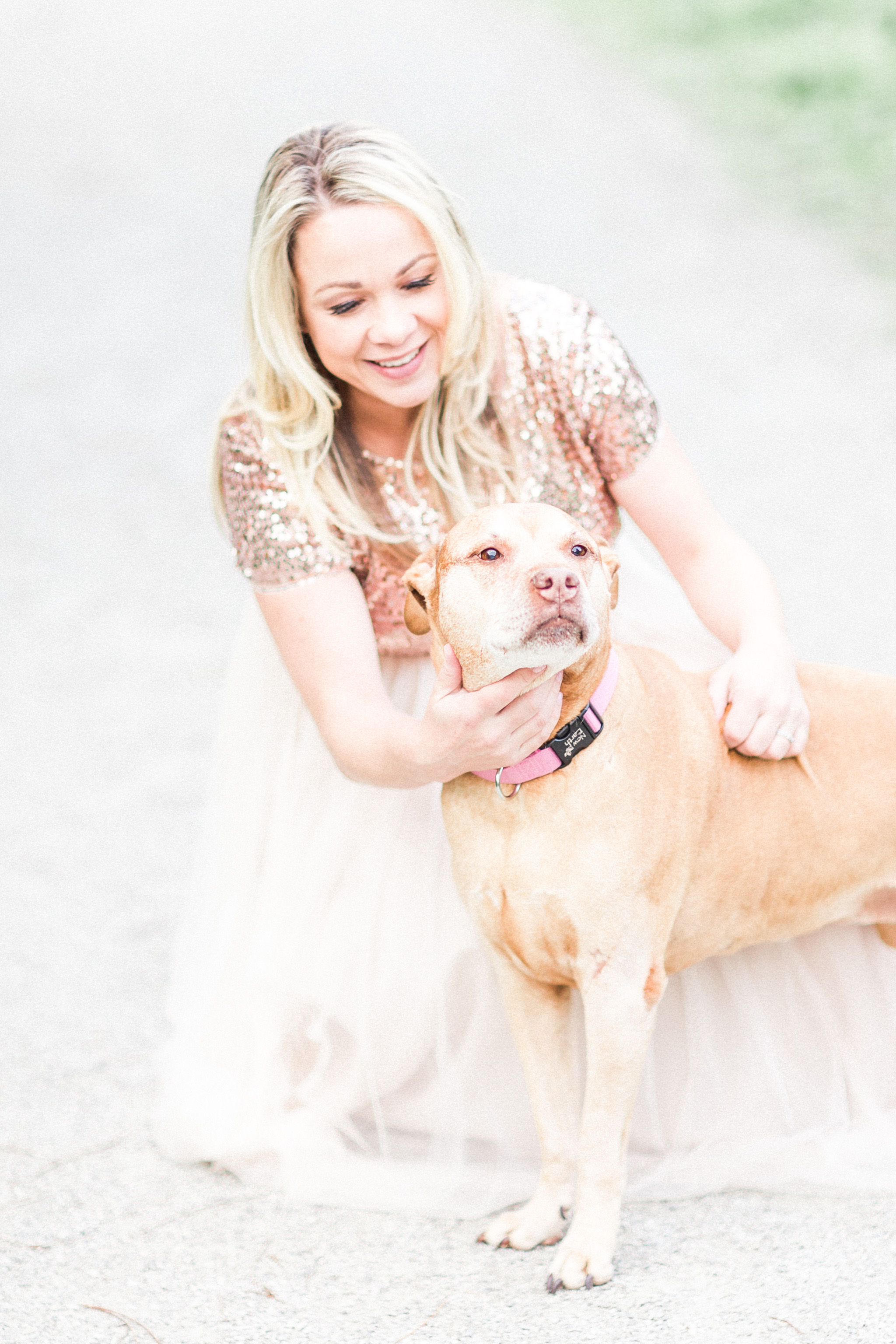 ERIN DAVISON PHOTOGRAPHY | Cleveland Newborn Photographer, North Canton Newborn Photography, Akron Maternity Photographer, North Canton Ohio Family Photography, Cleveland Family Photographers, Akron Newborn Photography, Akron Family, all white studio photography, fine art maternity photography, fall maternity pictures, fall family photos, natural light, maternity photos with dog, light and airy