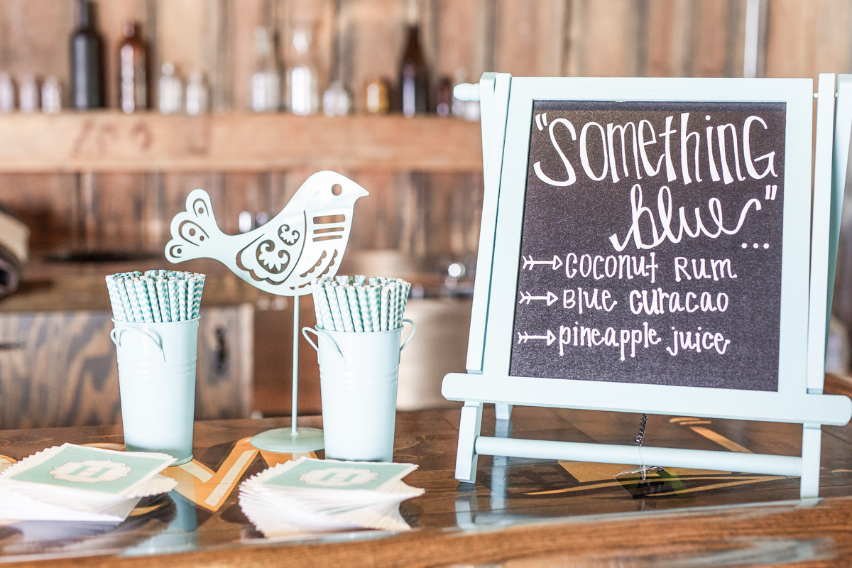 Erin Davison Photography | Akron Wedding Photographers, Cleveland Wedding Photography, Canton Ohio Wedding Photographer, Rivercrest Farm, Gervasi Vineyard, Stan Hywet, Hines Hill, The Madison Venue, Lake Erie Building