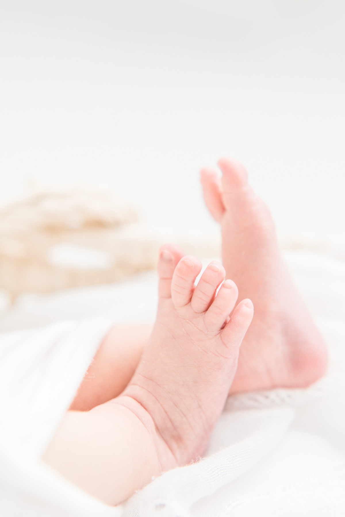 Erin Davison Photography | Newborn Photography in Cleveland, Cleveland Photographer, Akron Photographer, family photography, maternity photography, newborn photography, film photography, fine art newborn, lifestyle newborn
