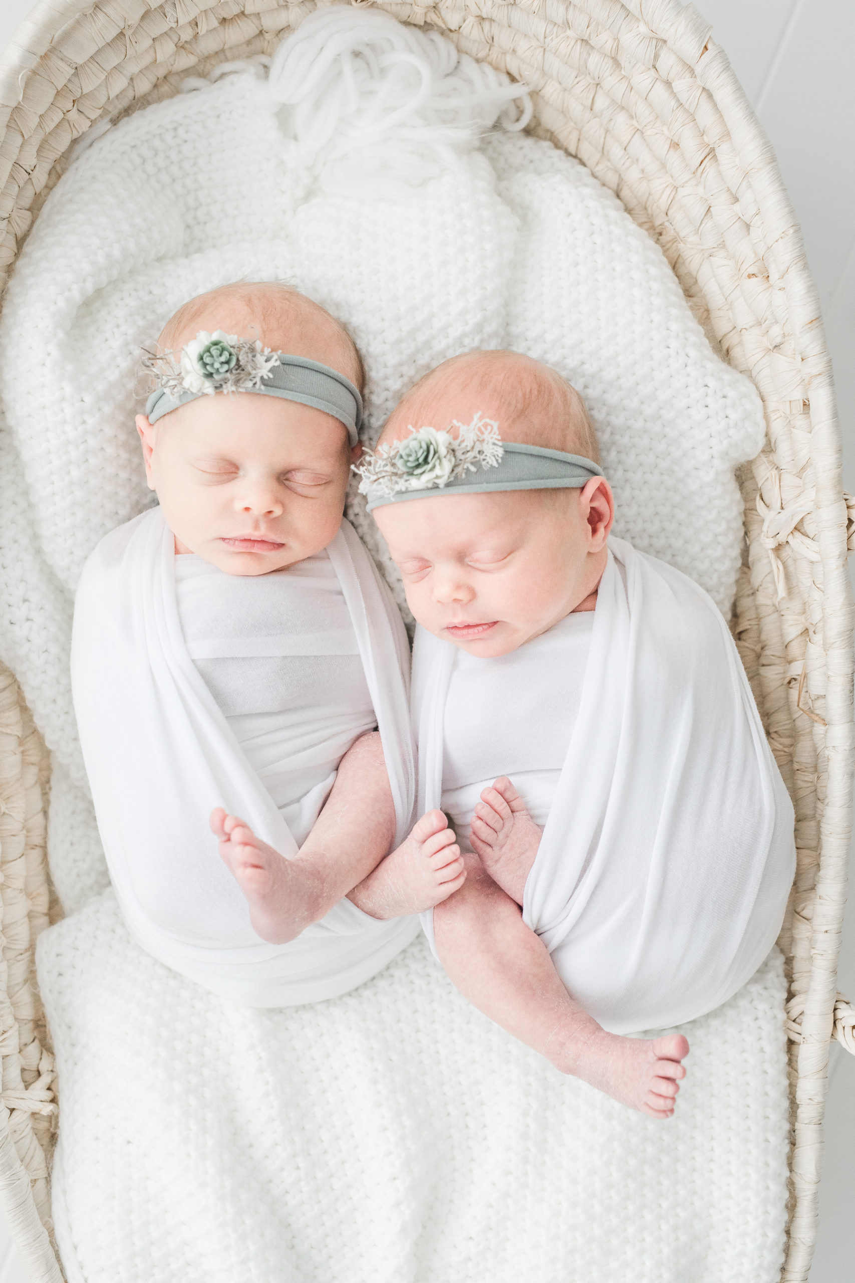 Cleveland Browns Newborn {Cleveland Newborn Photography} - Cleveland Newborn  & Baby Photographer