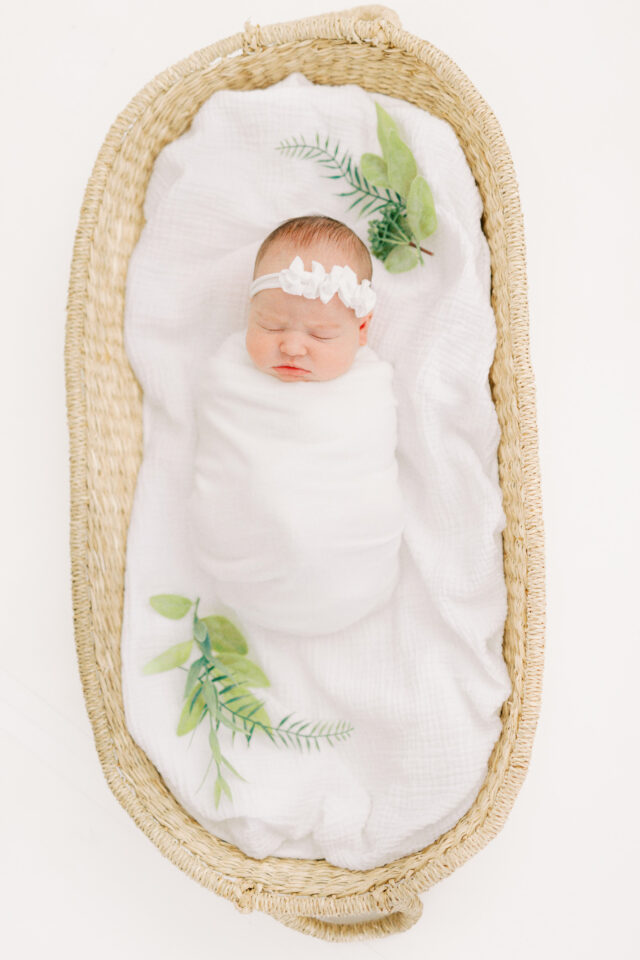 Erin Davison Photography | Cuyahoga Falls Newborn Photographer, Pepper Pike Newborn Photographer, Hudson Ohio Newborn Photographer, Akron Family Photographers, Canton Ohio Newborn Photographers, Akron Newborn Photographer, Cleveland Newborn Photographer, Chagrin Falls, studio newborn session, fine art newborn photos, film newborn photography